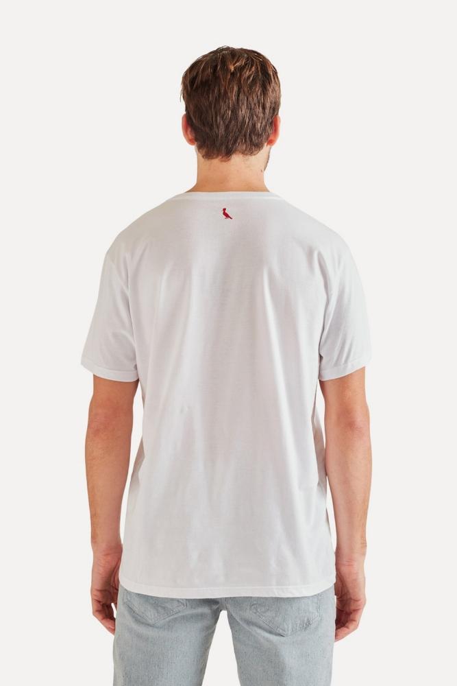 Camiseta Pica Pau Mapa Reserva - 5