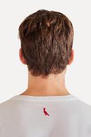 Camiseta Pica Pau Mapa Reserva