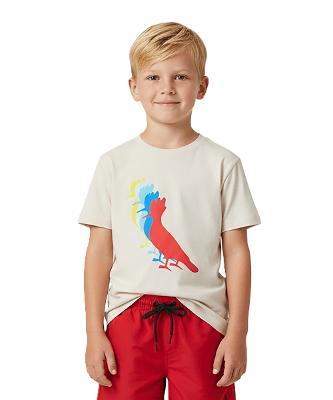 Camiseta Estampada Pica Pau Summer Blend Reserva Mini