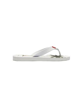 Chinelo Palmeira Reserva