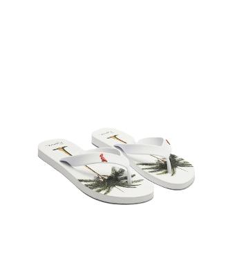 Chinelo Palmeira Reserva