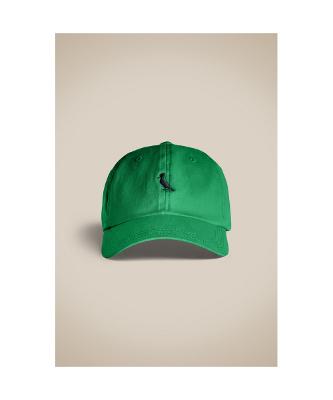 Bone Sarja Color Bordado Pica-pau Reserva