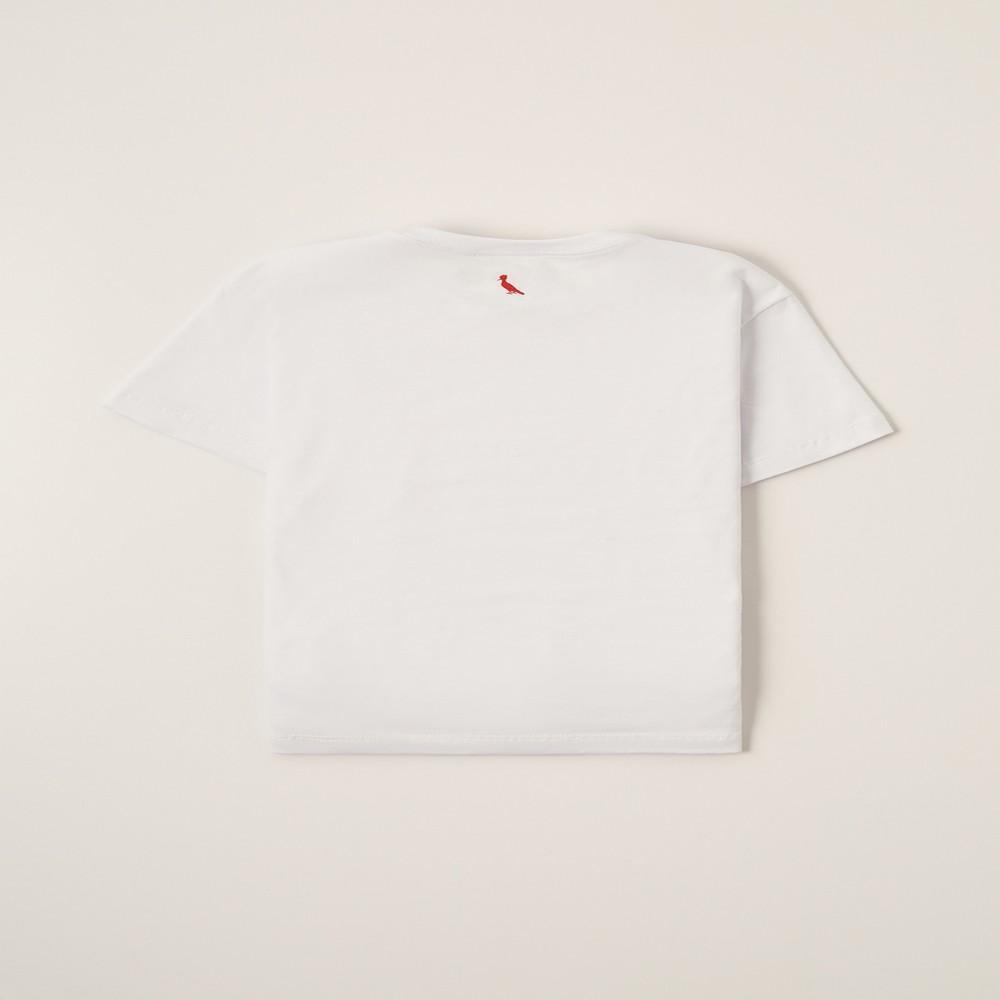 Kit 2 Camisetas Básicas Brasa Reserva Mini - 2