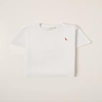 Kit 2 Camisetas Básicas Brasa Reserva Mini - 5