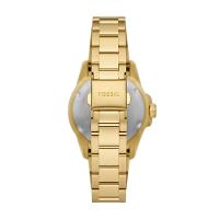 Relógio Fossil Feminino Blue Dourado - ES5350/1DN - 3
