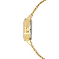 Kit Condor Feminino Mini Dourado - CO2035NPU/K4X - 2