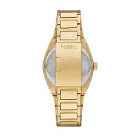 Relógio Fossil Masculino Everett Dourado - FS6090/1VN - 3