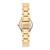 Kit Condor Feminino Mini Dourado - CO2035NFZ/K4X - 3