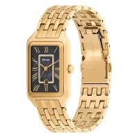 Relógio Fossil Feminino Raquel Dourado - ES5417/1CN