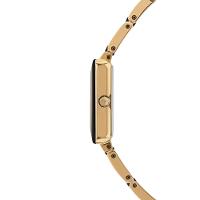 Relógio Technos Feminino Ceramic Sapphire Dourado - 5Y36AB/1P - 2