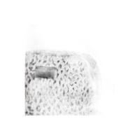 Mochila Xtrem Vermont 232 Lifestyle Leopardo - 2