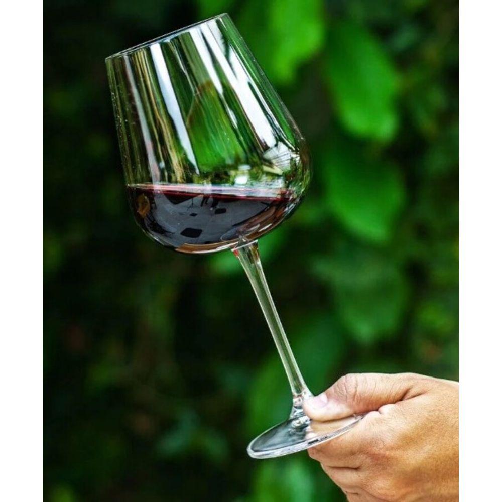 6 Taças para Vinho em Cristal Ecológico Ardea 540ml Bohemia - 6