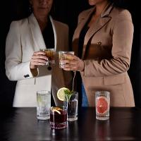 6 Copos Baixos Baccarat 300ml Kenya