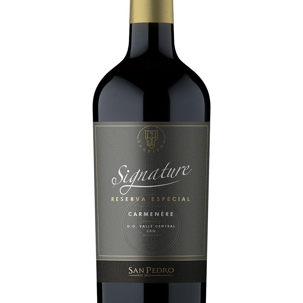 Vinho Tinto Signature Reserva Especial Carmenere 750ml - 2