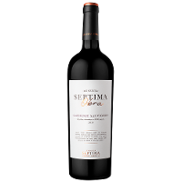 Vinho Tinto Septima Obra Cabernet Sauvignon 750ml - 1
