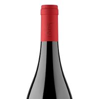 Vinho Tinto 1865 Selected Vineyards Syrah 750ml - 3