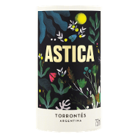 Vinho Branco Astica Torrontes 750ml - 2