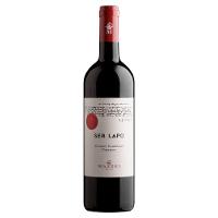 Mazzei Ser Lapo Chianti Classico Riserva DOCG 750ml - 1