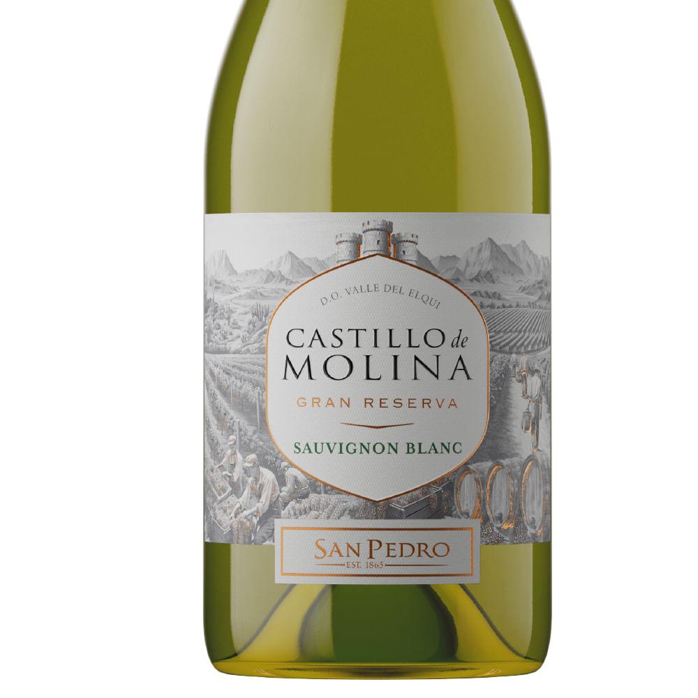 Castillo De Molina Gran Reserva Sauvignon Blanc 750ml - 3