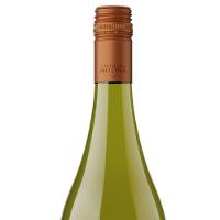 Castillo De Molina Gran Reserva Sauvignon Blanc 750ml - 2