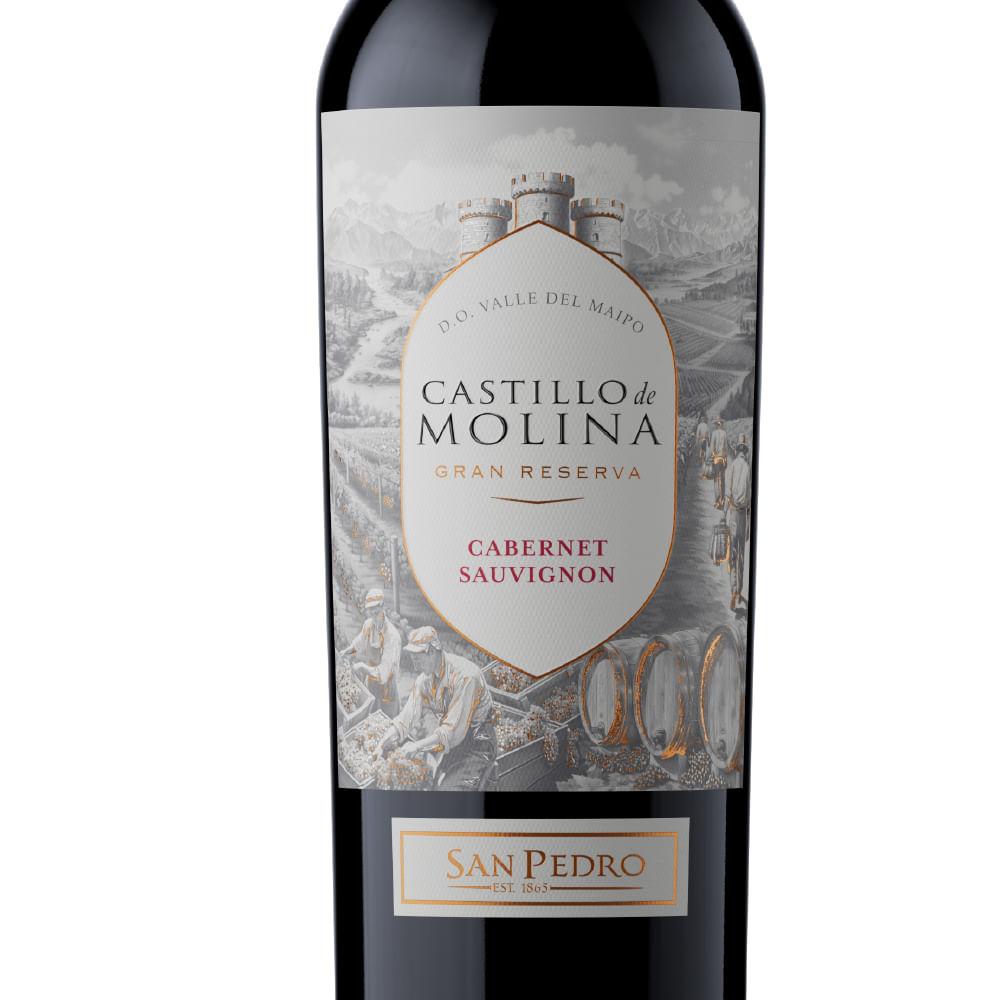 Castillo De Molina Gran Reserva Cabernet  Sauvignon 750ml - 3