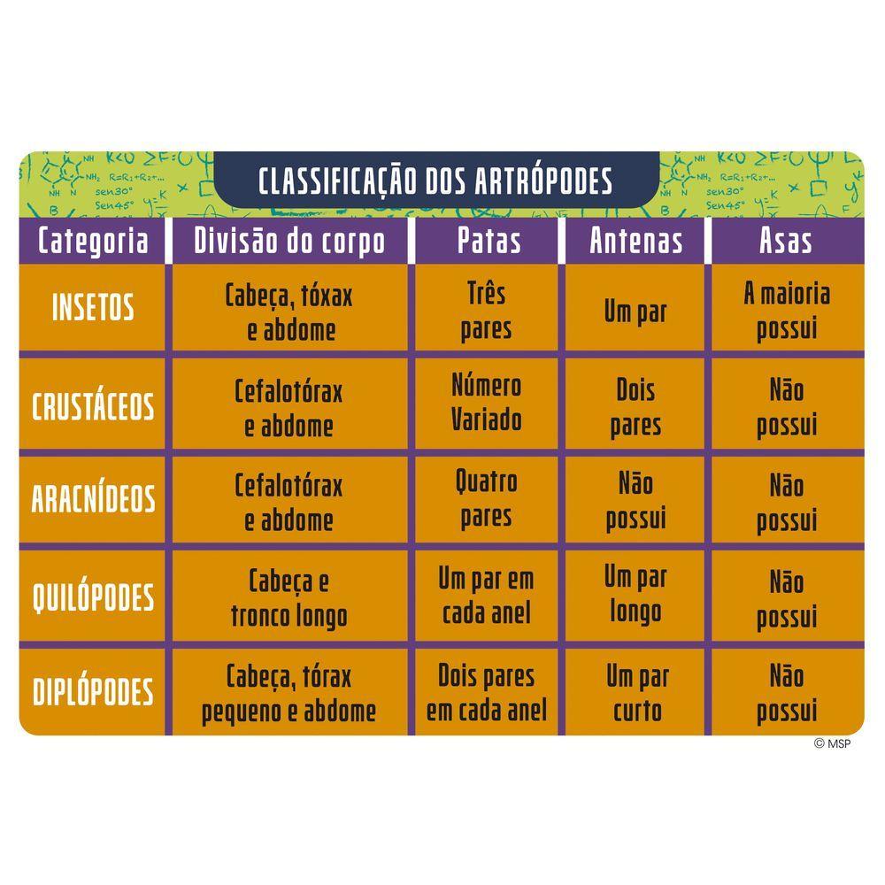 Kit Experiências Turma da Mônica Franjinha e Milena - Nig - 6