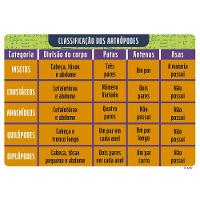 Kit Experiências Turma da Mônica Franjinha e Milena - Nig - 6