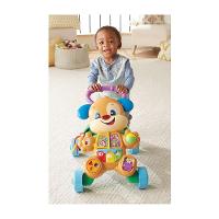 Fisher-Price Cachorrinho Que Anda - Mattel