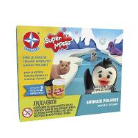 Livro Infantil Animais Polares Com Super Massa - Estrela - 5