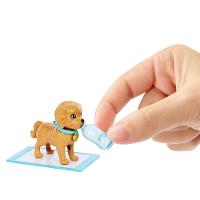 Barbie Conjunto Adota Cachorrinhos Morena - Mattel - 2