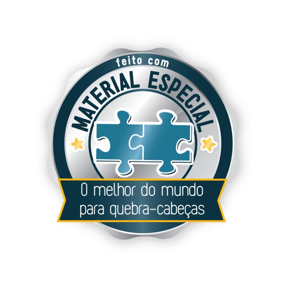 Quebra-cabeça Amsterdã 1500 Peças - Toyster - 5