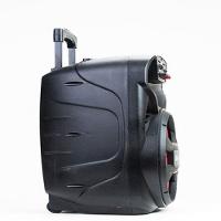 Caixa Amplificada ACA 480 Viper II 480W Amvox - 3