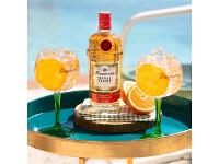 Gin Tanqueray Flor de Sevilla Garrafa 700ml - 4