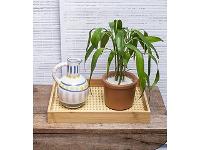 Bandeja de Bambu Oikos com Palinha Retangular 39CM - 3