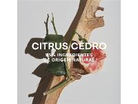 Perfume Adolfo Dominguez Agua Fresca CitrusCedro Eau de Toilette 120ML - 4