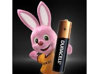 Pilha Alcalina AAA Palito Duracell com 2 Unidades - 2