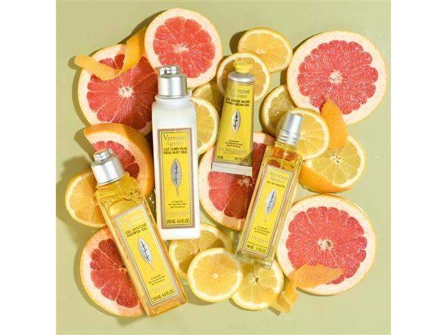 Sabonete Líquido L'Occitane en Provence Citrus Verbena 250ML - 4
