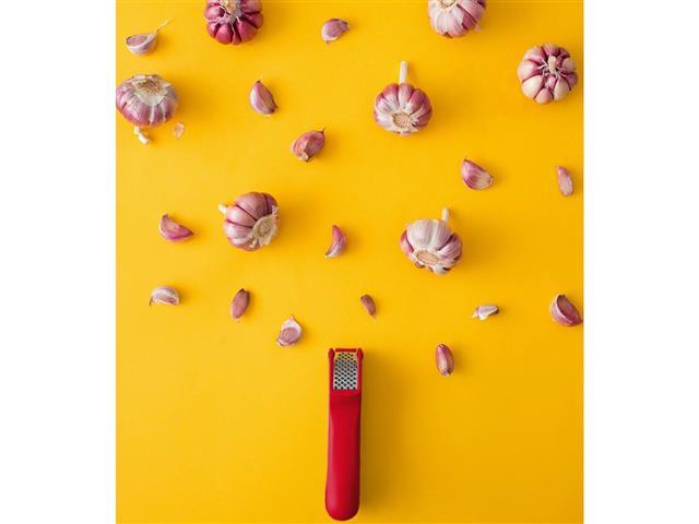 Espremedor de Alho Oikos Vermelho - 2