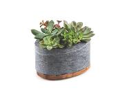 Pote Tramontina Concreta em Pedra Sabão Polida com Tampa Madeira Teca - 4