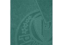 Toalha de Banho Buettner Brasão Palmeiras Verde Esmeralda - 1