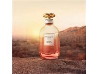 Perfume Dreams Sunset Coach Feminino Eau de Parfum 40ml - 3