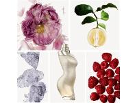 Perfume Shakira Shakira Dance Star Midnight Eau de Toilette 80ML - 4