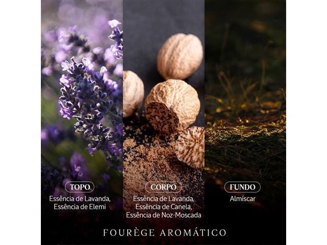 Perfume L'Occitane en Provence Eau de Toilette L'Occitan 75ML - 3