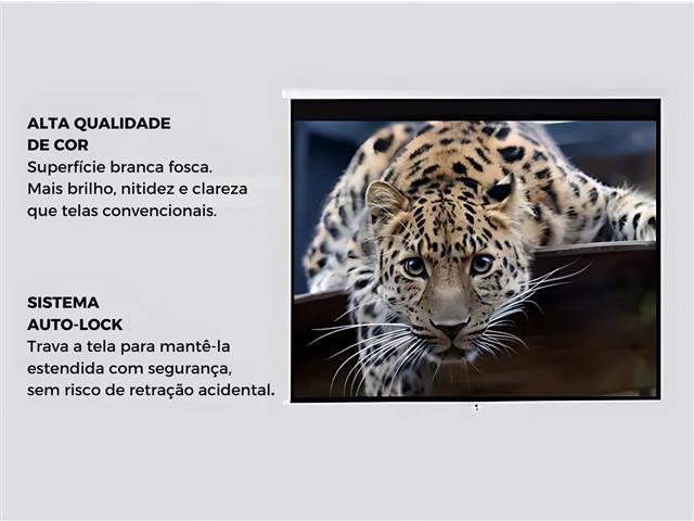 Tela Projetor 100" Projeção Retrátil com Tripé Gadnic - 4