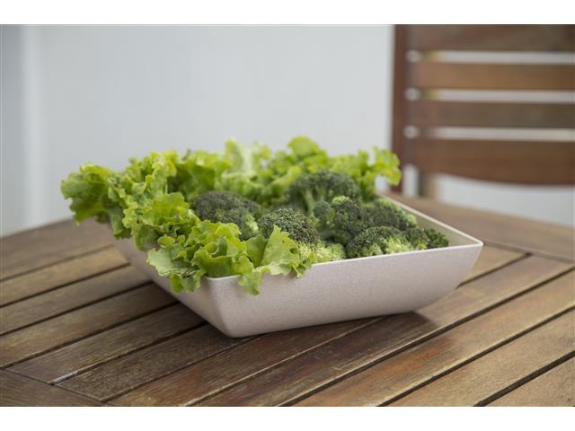 Kit Evo Saladeira Quadrada 3 Peças - Marfim - 3