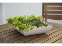 Kit Evo Saladeira Quadrada 3 Peças - Marfim - 3