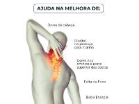 Travesseiro Cervical Coluna Relax® - 2