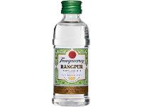 Pack com 12 Miniaturas Gin Tanqueray Rangpur 50ml - 2