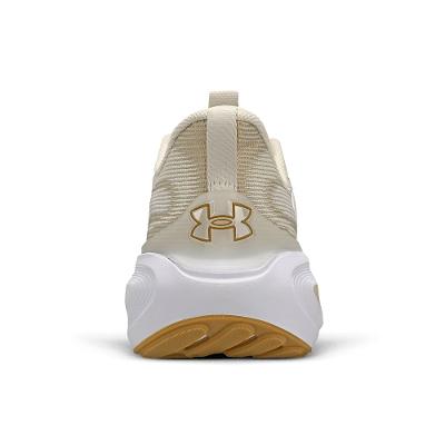 Tênis de Corrida Under Armour Charged Skyline 5 Masculino