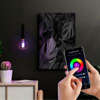 Lâmpada Led Smart Wi-fi Inteligente G95 Filamento 6w E27 Rgb Taschibra